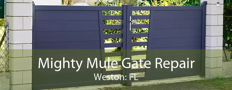 Mighty Mule Gate Repair Weston: FL