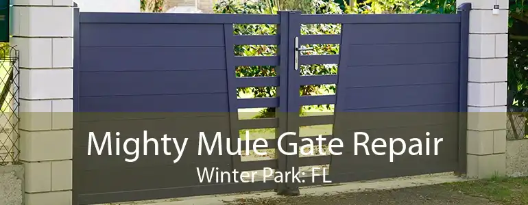 Mighty Mule Gate Repair Winter Park: FL