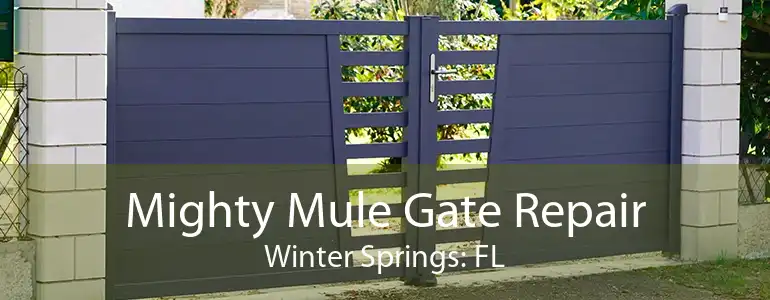 Mighty Mule Gate Repair Winter Springs: FL